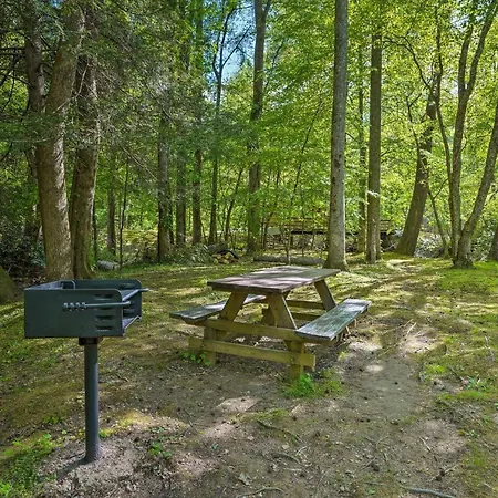 Cozy Tellico Plains Cabin With Large Mountain Creek! Exterior foto