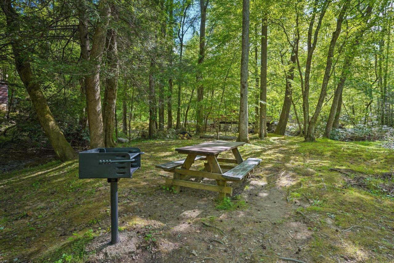 Cozy With Large Mountain Creek! Tellico Plains