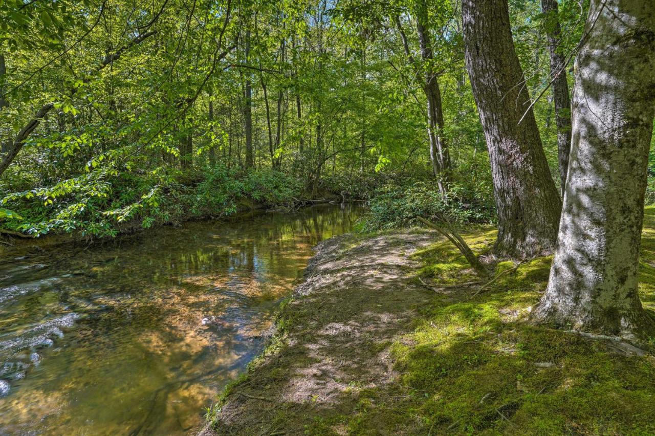 Cozy With Large Mountain Creek!